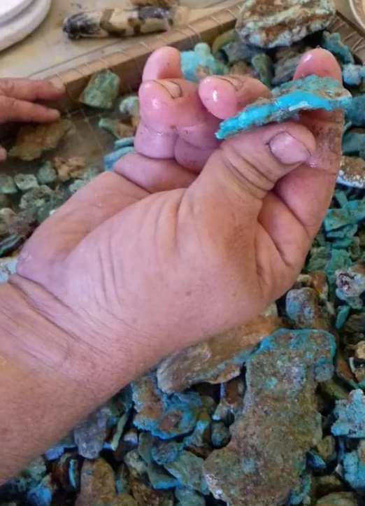 Hands sorting raw turquoise pieces at the workbench