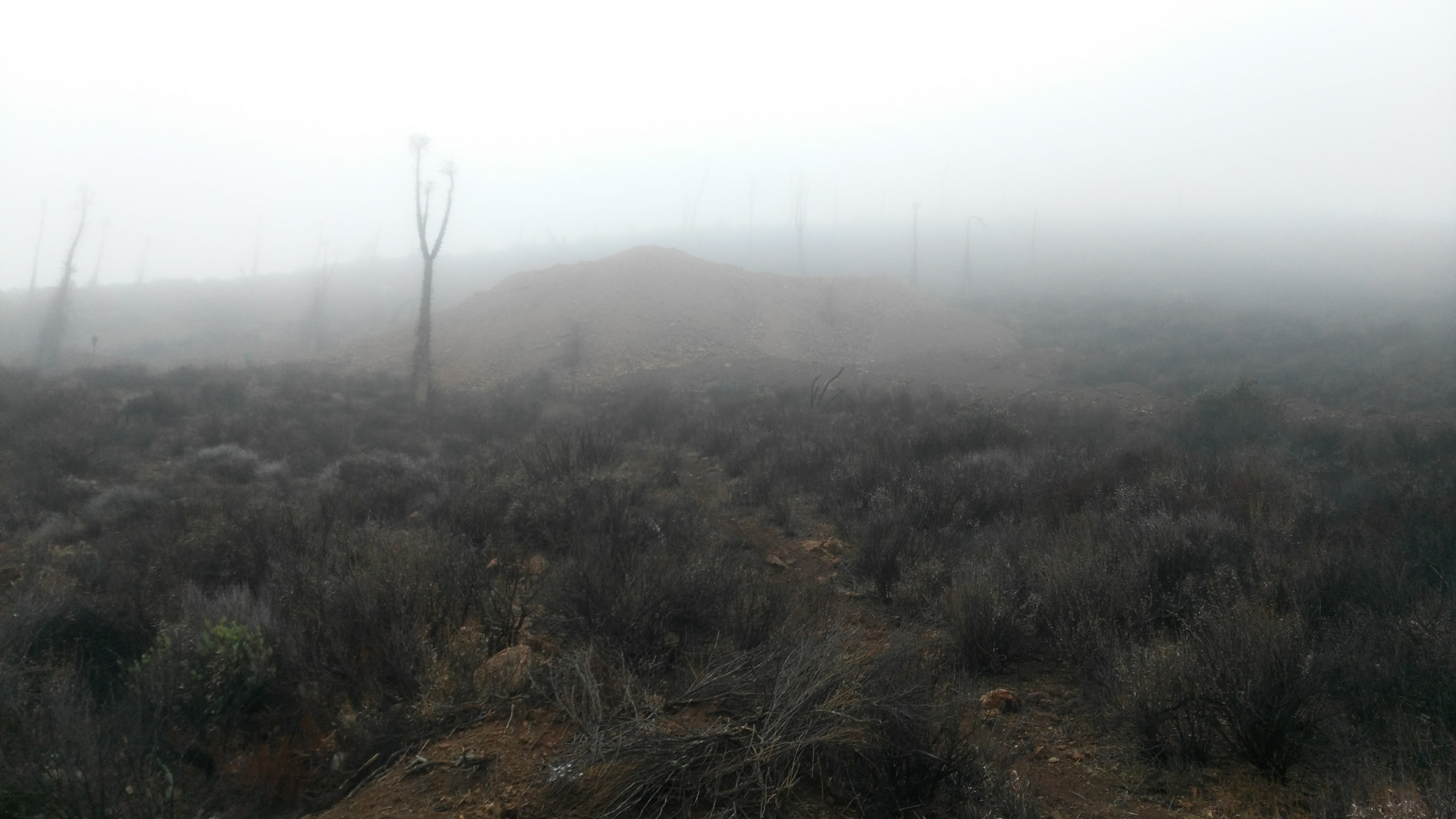 Barren desert landscape in Baja California