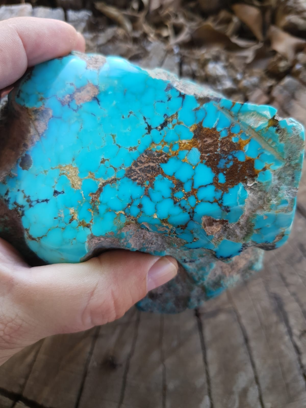 Authentic turquoise gemstone